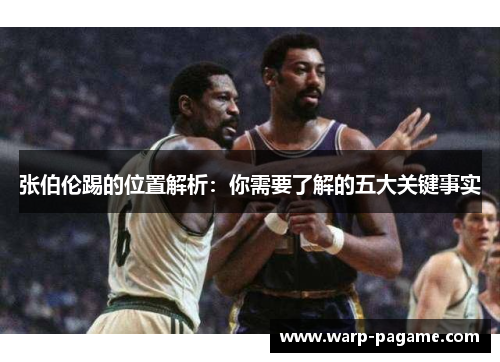 张伯伦踢的位置解析：你需要了解的五大关键事实