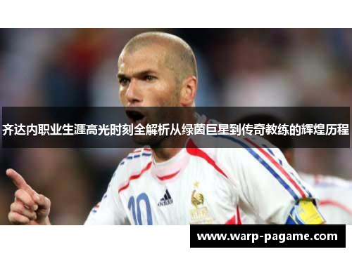 齐达内职业生涯高光时刻全解析从绿茵巨星到传奇教练的辉煌历程