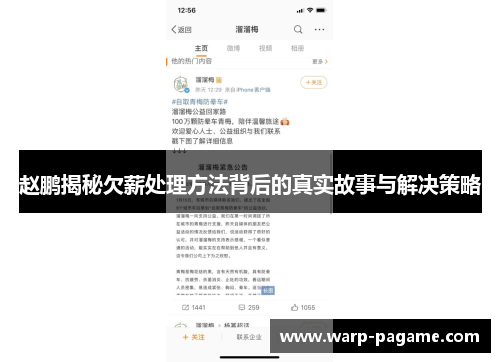 赵鹏揭秘欠薪处理方法背后的真实故事与解决策略