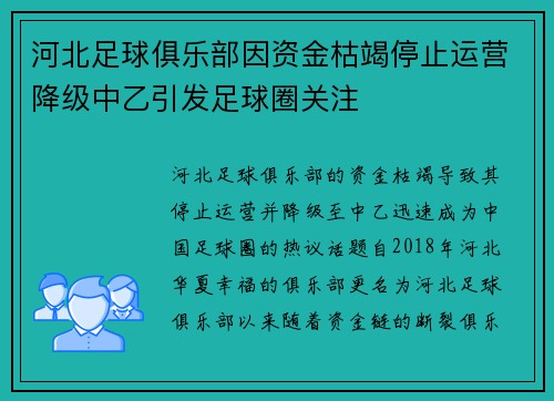 河北足球俱乐部因资金枯竭停止运营降级中乙引发足球圈关注
